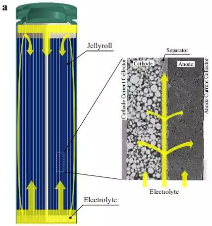 鋰離子電池電解液浸潤電芯示意圖